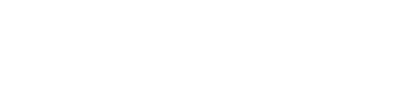 Connect Veterinary Consulting